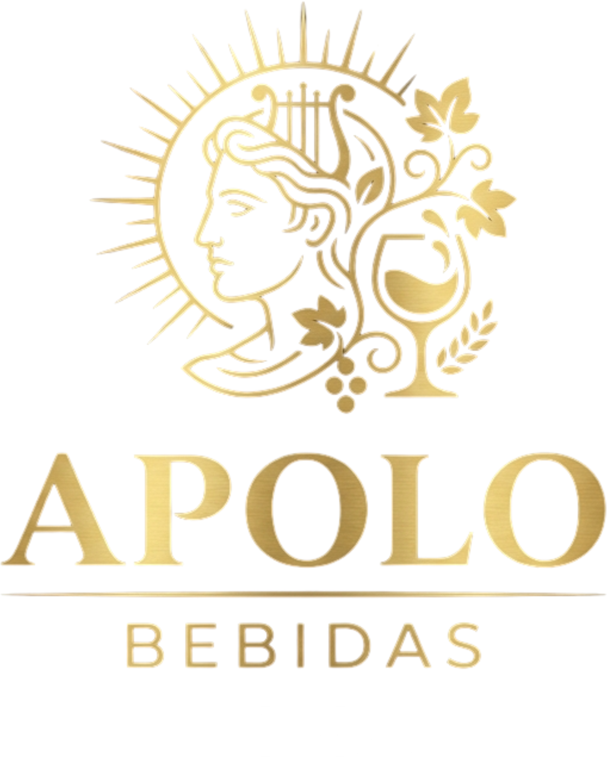 Apolo Bebidas